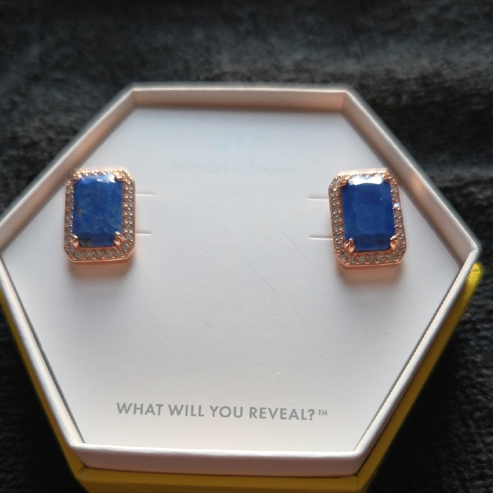Sophisticated Blue and Gold Framed Earrings